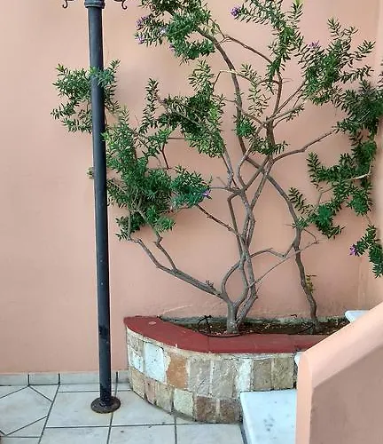 Appartement Ira Lassi (Kefalonia)